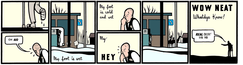 Acme Novelty Library