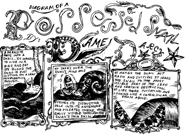 DIAGRAM OF A POSSESSED SNAIL