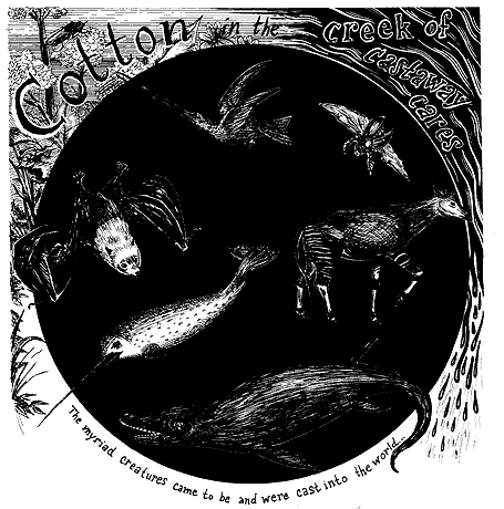 COTTON IN THE CREEK OF CASTAWAY CARES